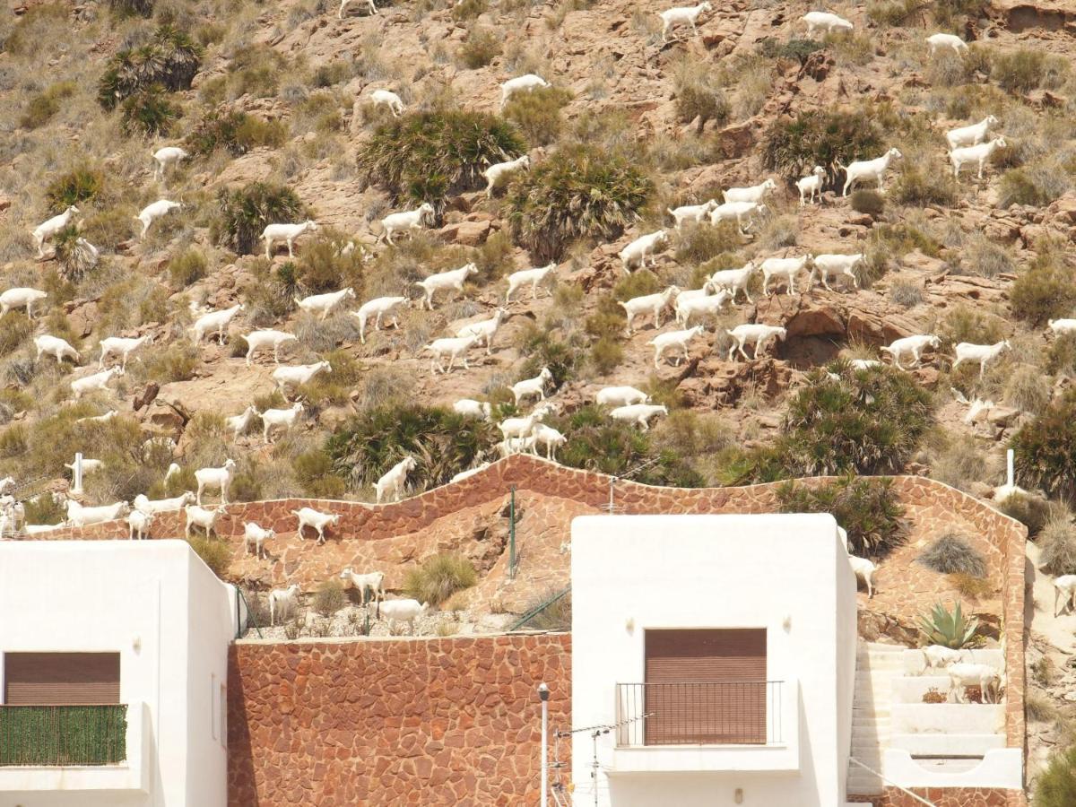 La Loma Villa San José Eksteriør billede